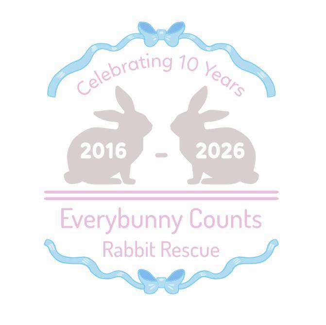 Everybunny - Ten years ago, Kristen Bettcher and Michelle Bosse had a ...