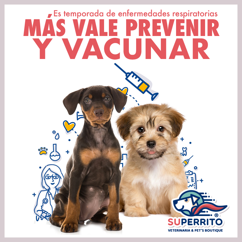 Superrito - ⚠️En Superrito sabemos que es temporada de...