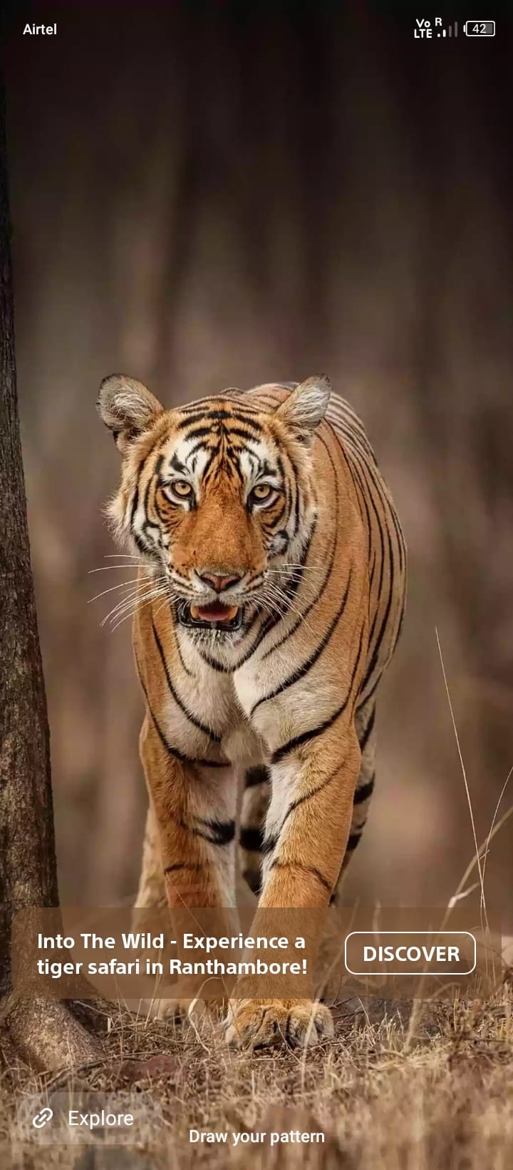 S S Rajpoot