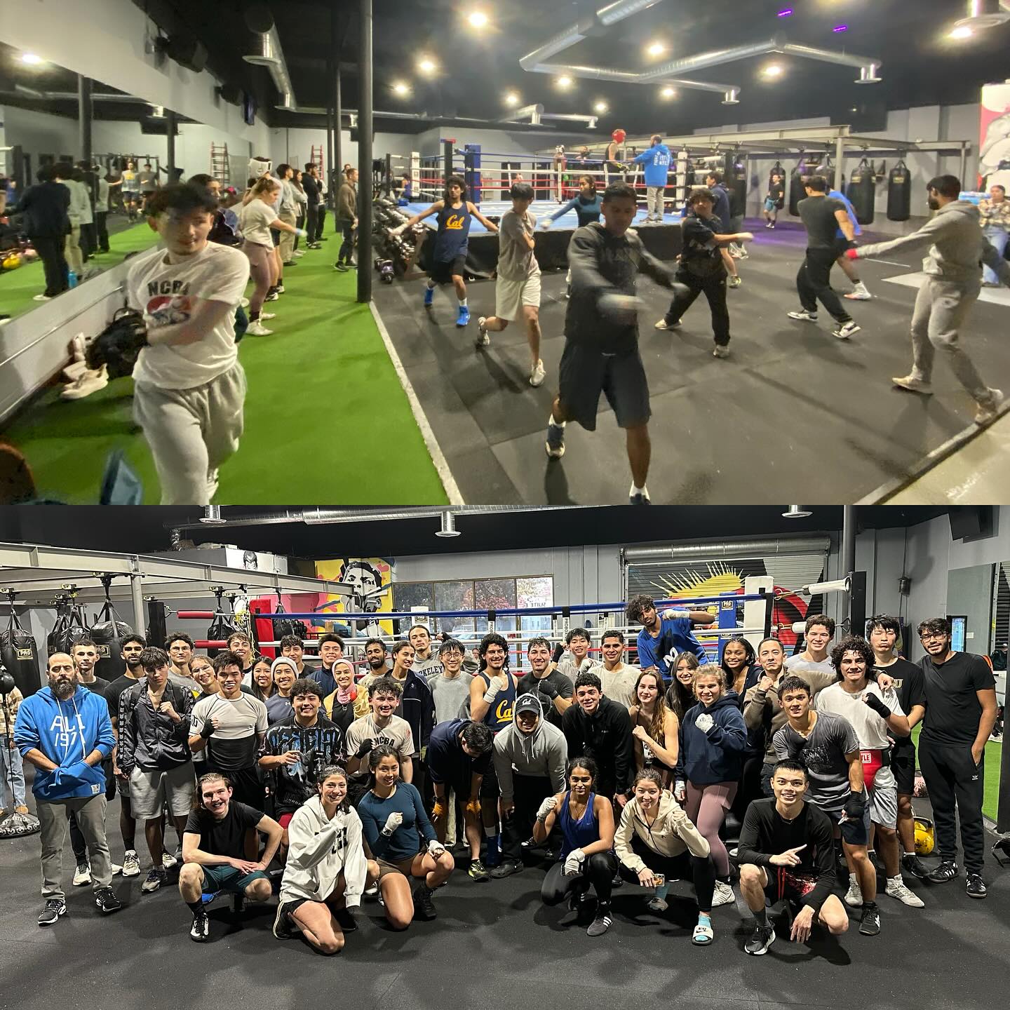 Cal Boxing