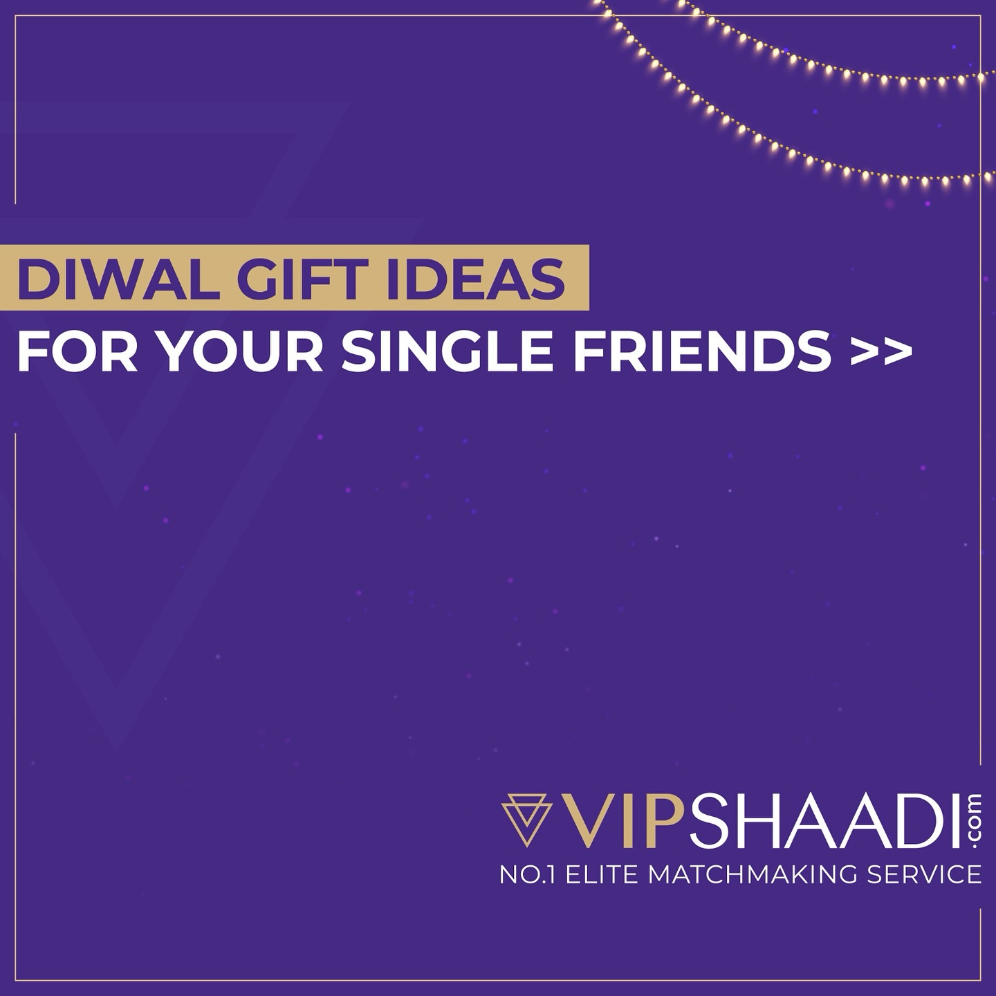 VIPShaadi.com