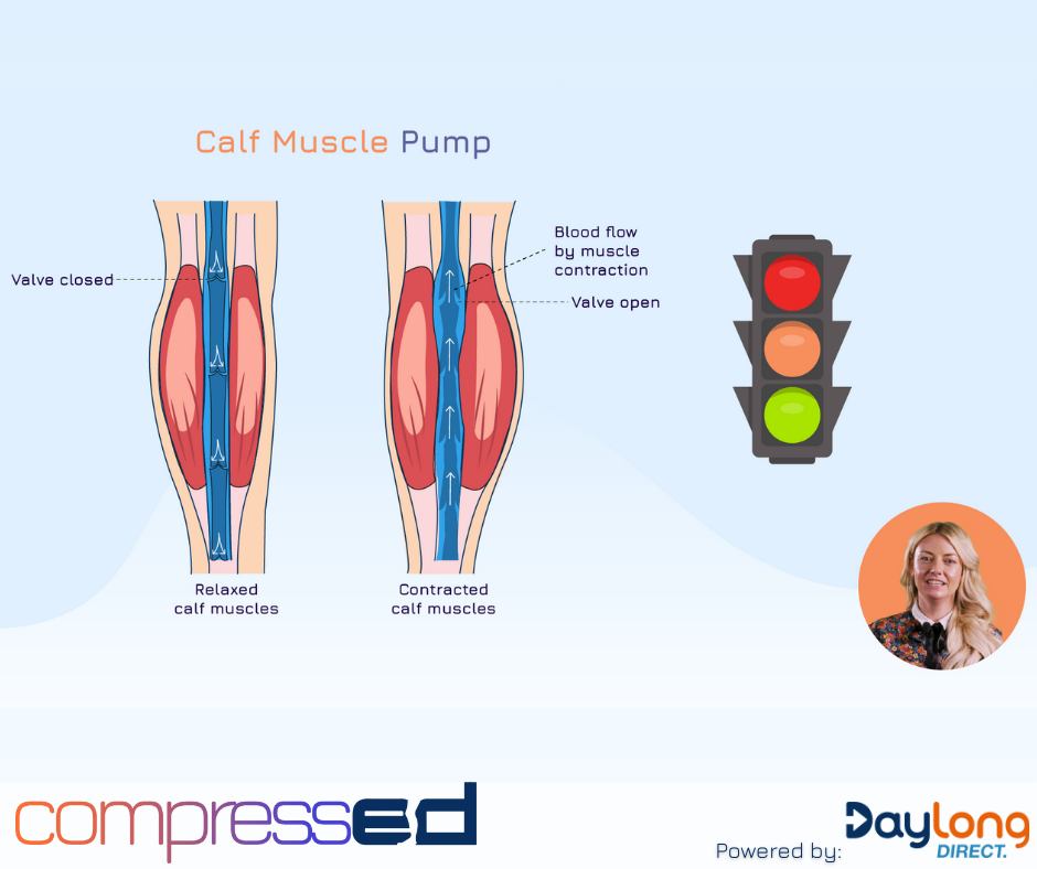 Wound - Understand the science of circulation. 🔄 In five simple ...