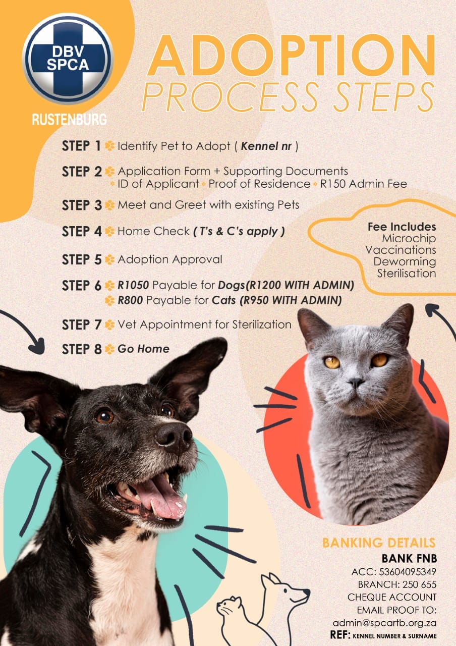 SPCA Rustenburg - New adoption fee.. 🐾🐾🐾 | Facebook