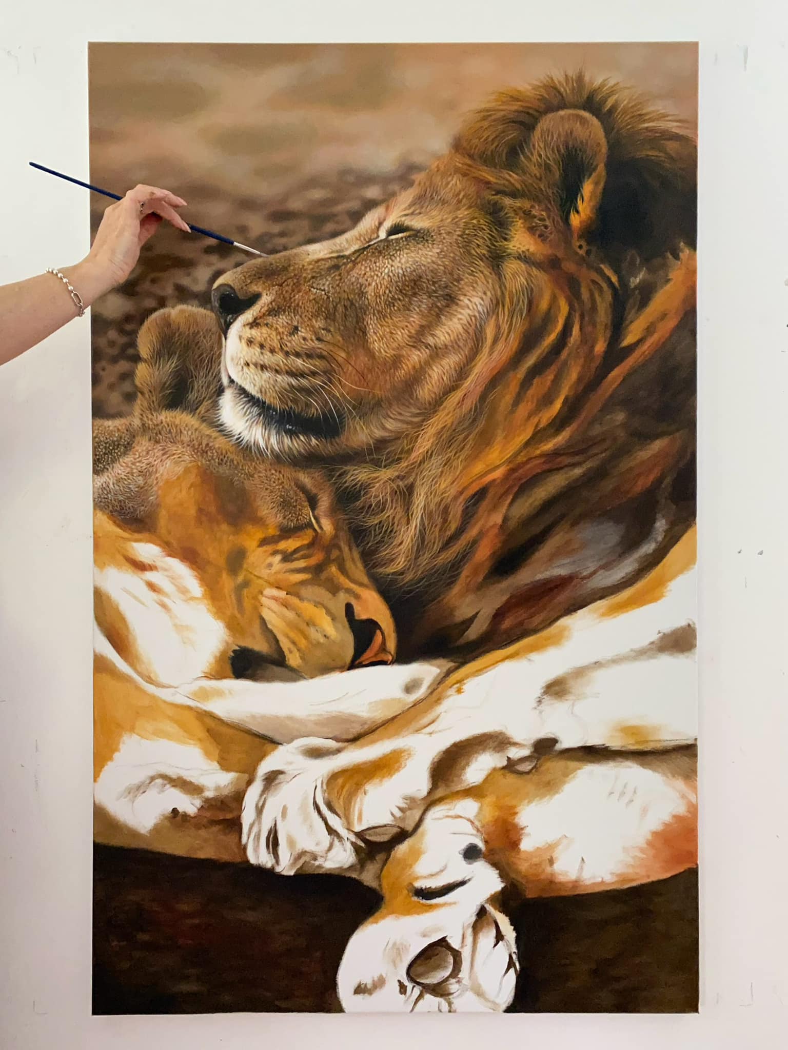 Julie Rhodes -... - Julie Rhodes - wildlife pencil drawings