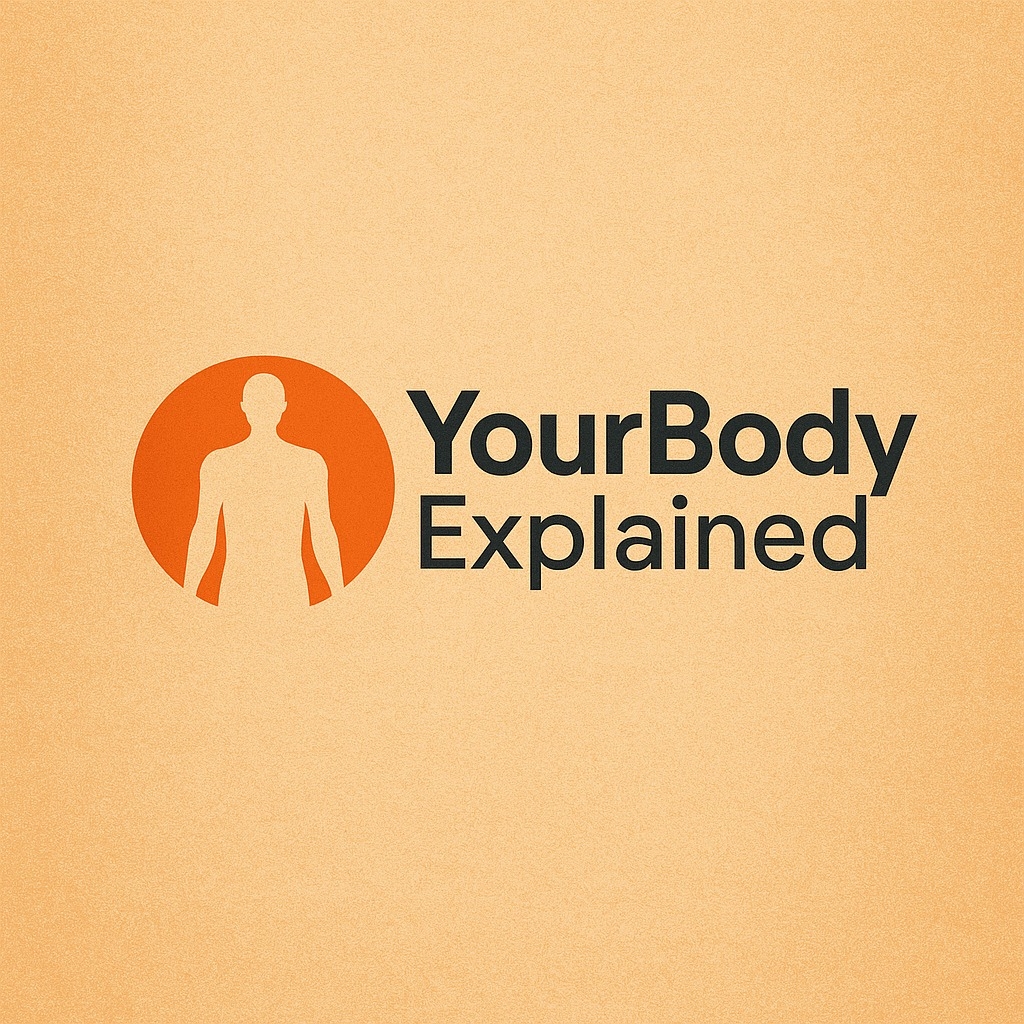 What Happens to Sperm After Ejaculation? The Journey Inside the Female ...