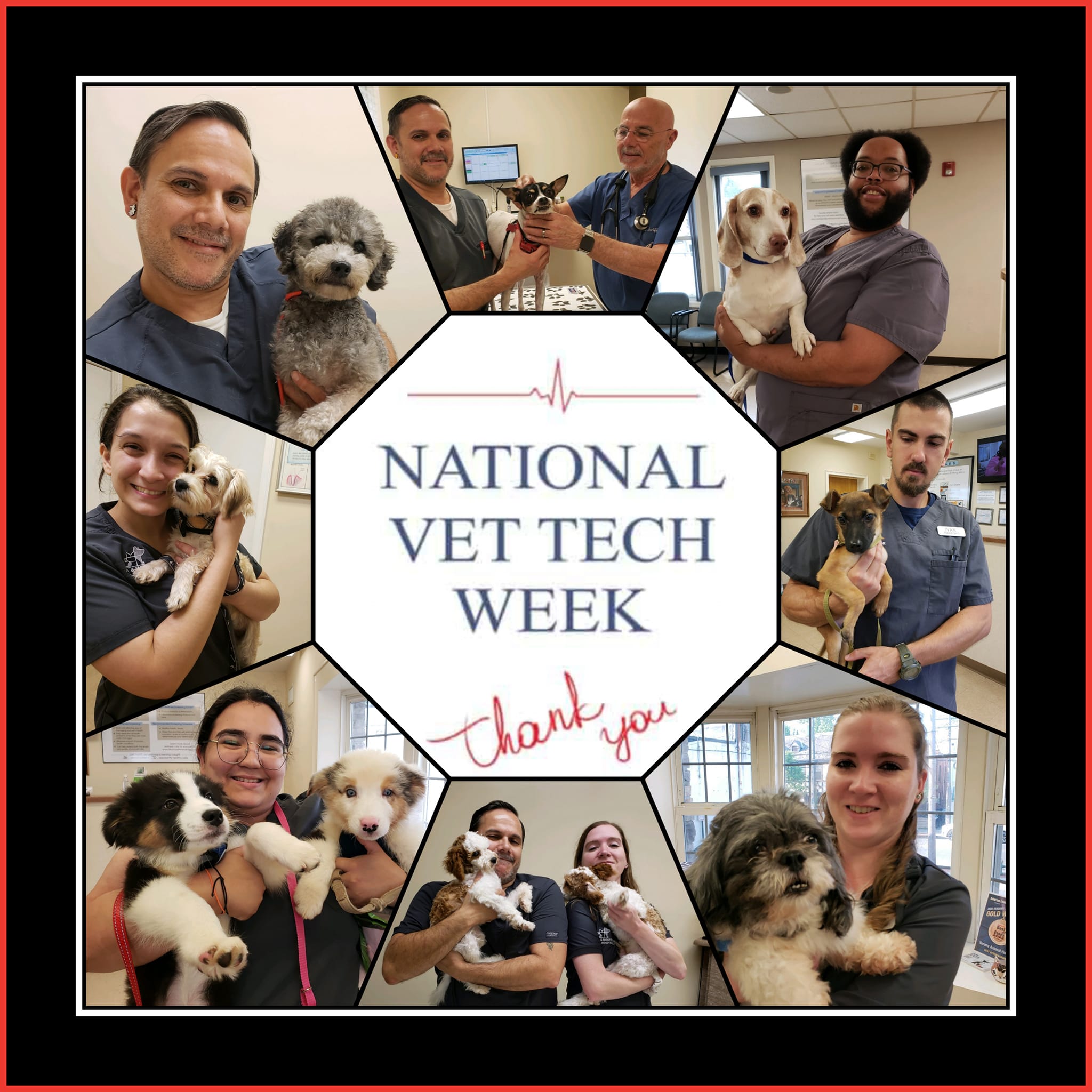 Rescue - Better late than never, we proudly salute National Veterinary ...