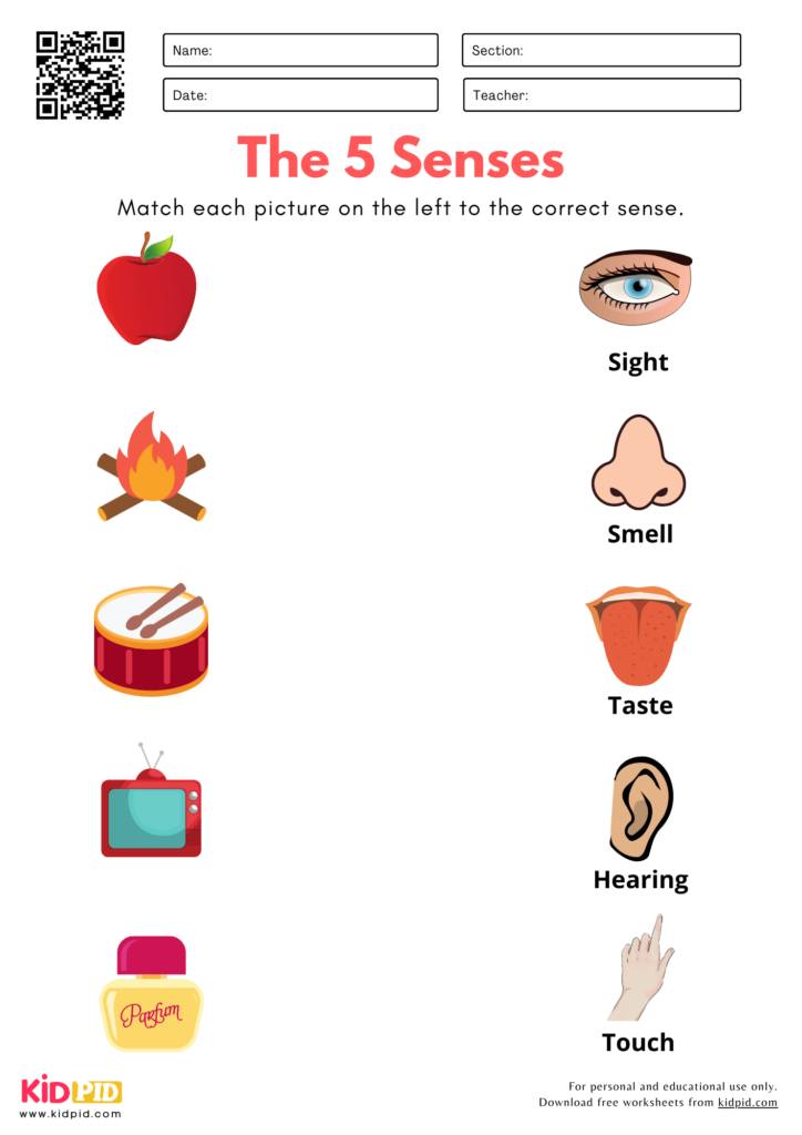 English Grammar &... - English Grammar & Vocabulary