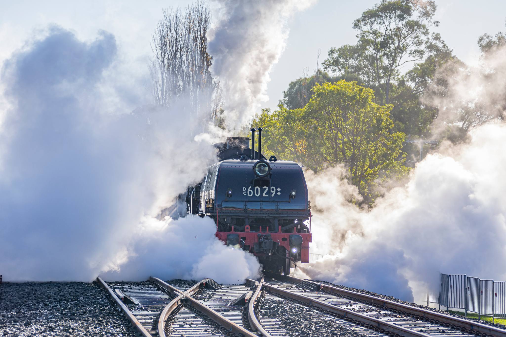 Transport - 🤩Due to popular demand for our #gosford steam train rides ...