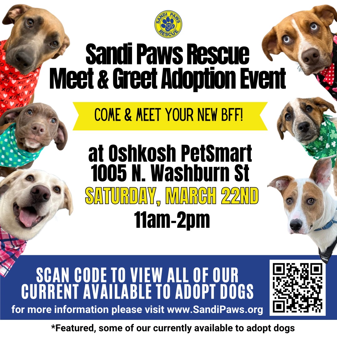 Sandi Paws Rescue Meet & Greet Adoption Event