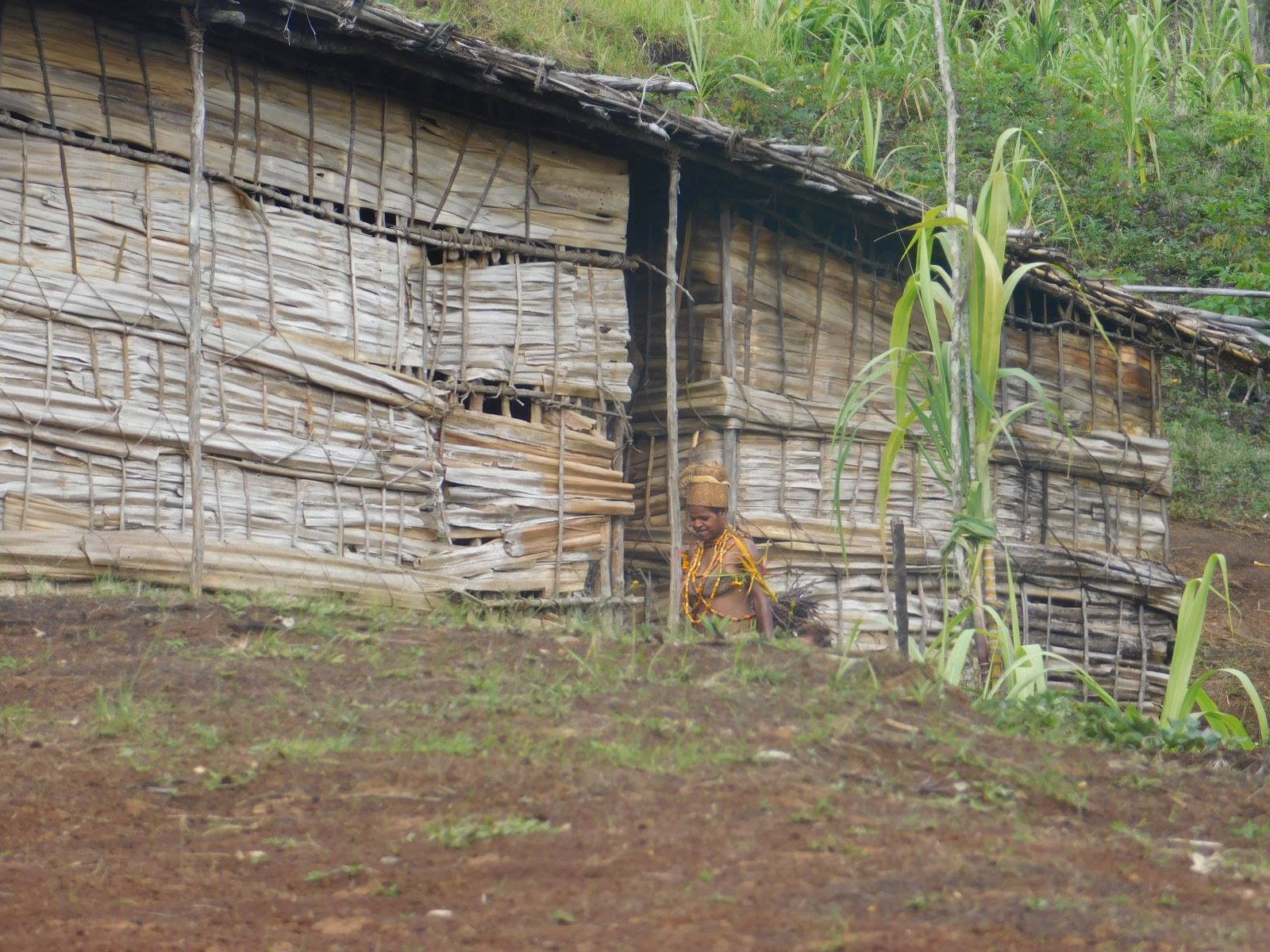 Kalam Tribes - Simbai... - PNG Highlands Adventure Tours
