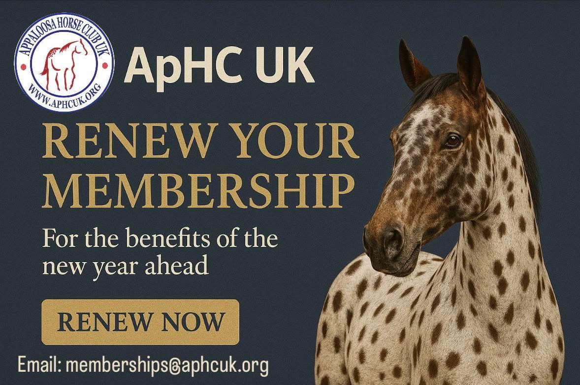Appaloosa Horse Club... - Appaloosa Horse Club (ApHC) UK
