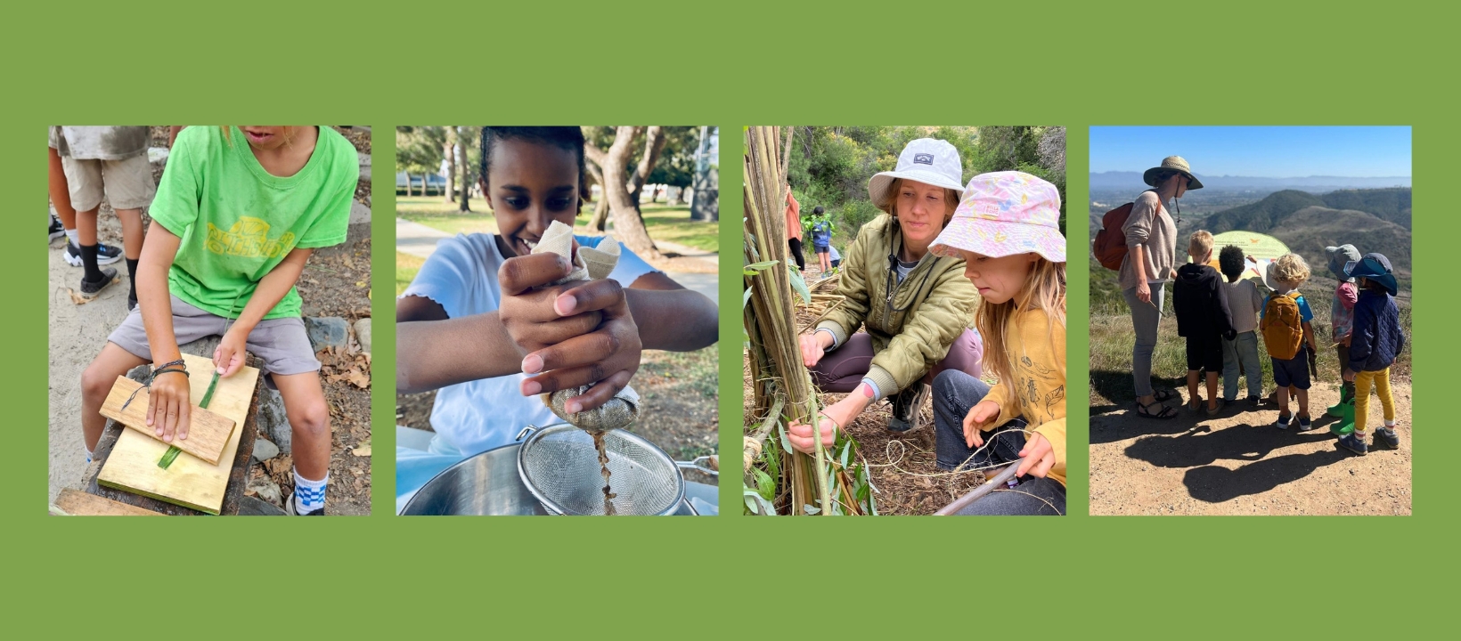 Earthroots Field School