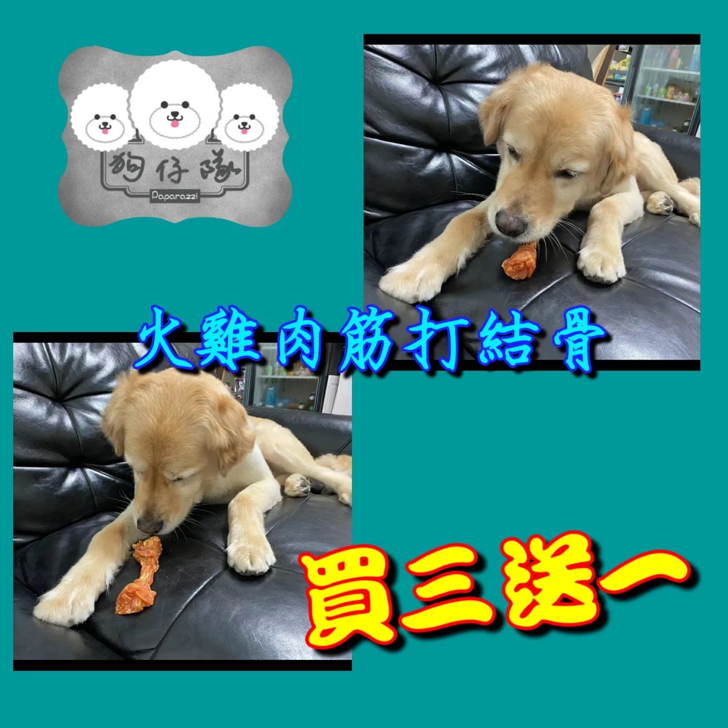 狗仔隊Paparazzi