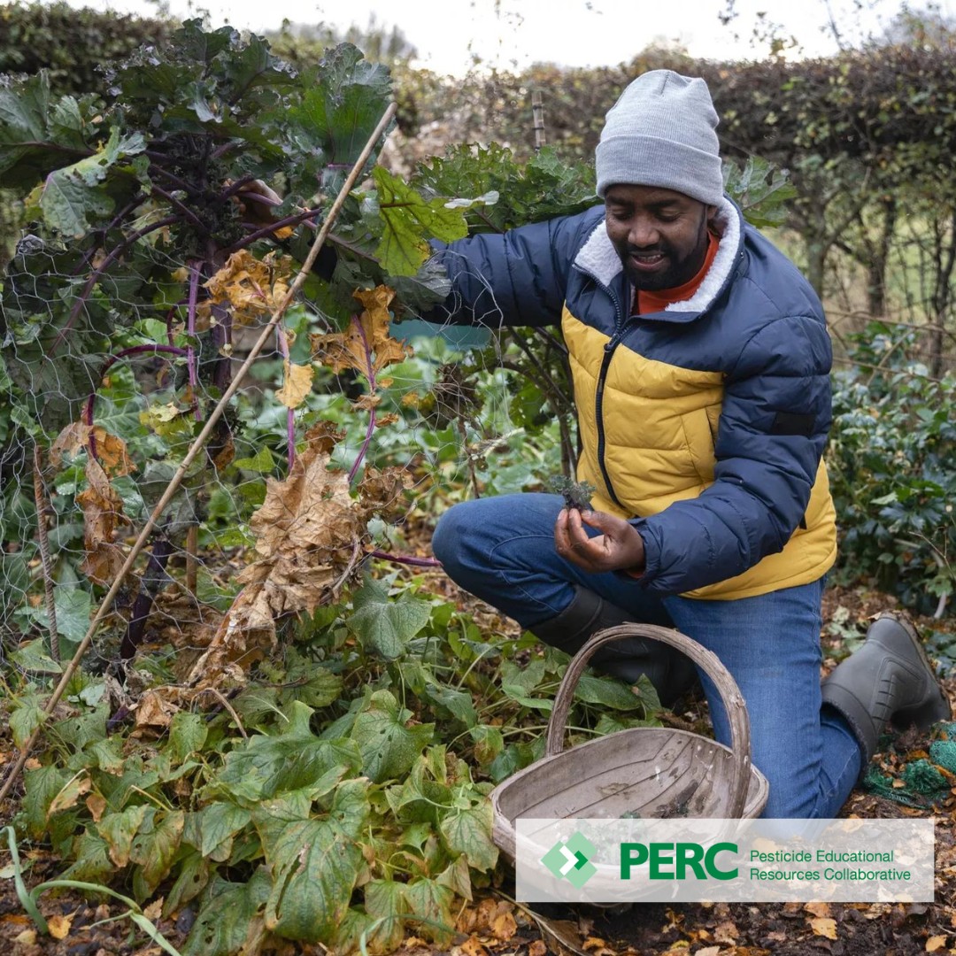 PERC - Have you seen our full inventory of Training Resources for the ...