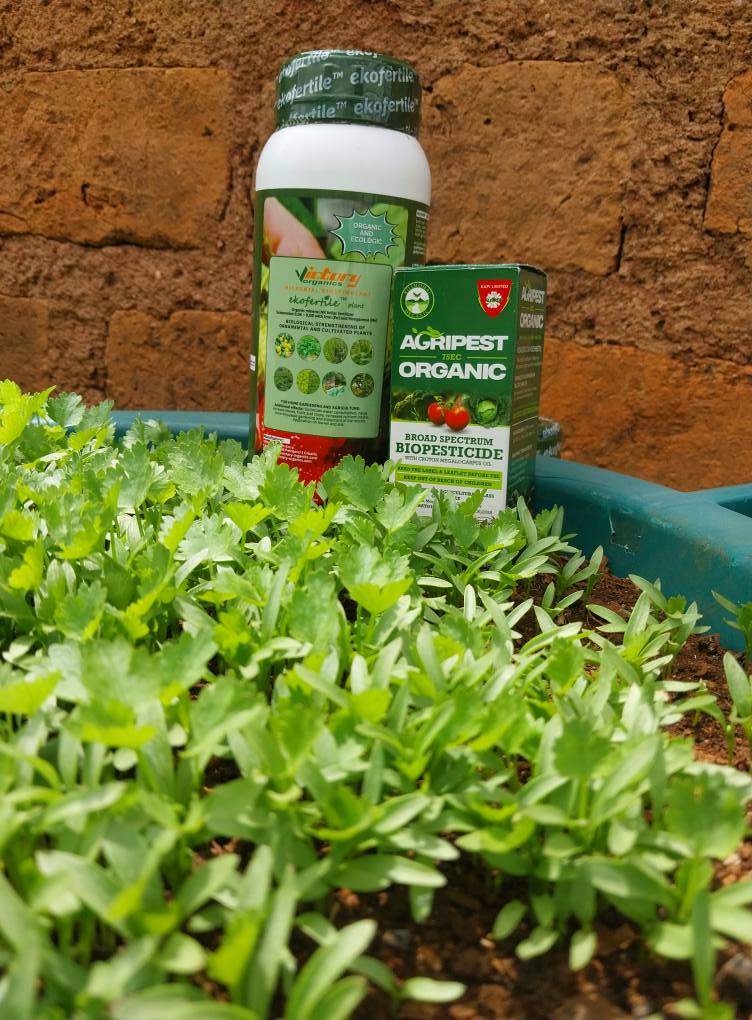 Orina Dominic - Organic EkoFertile Foliar fertiliser with... | Facebook