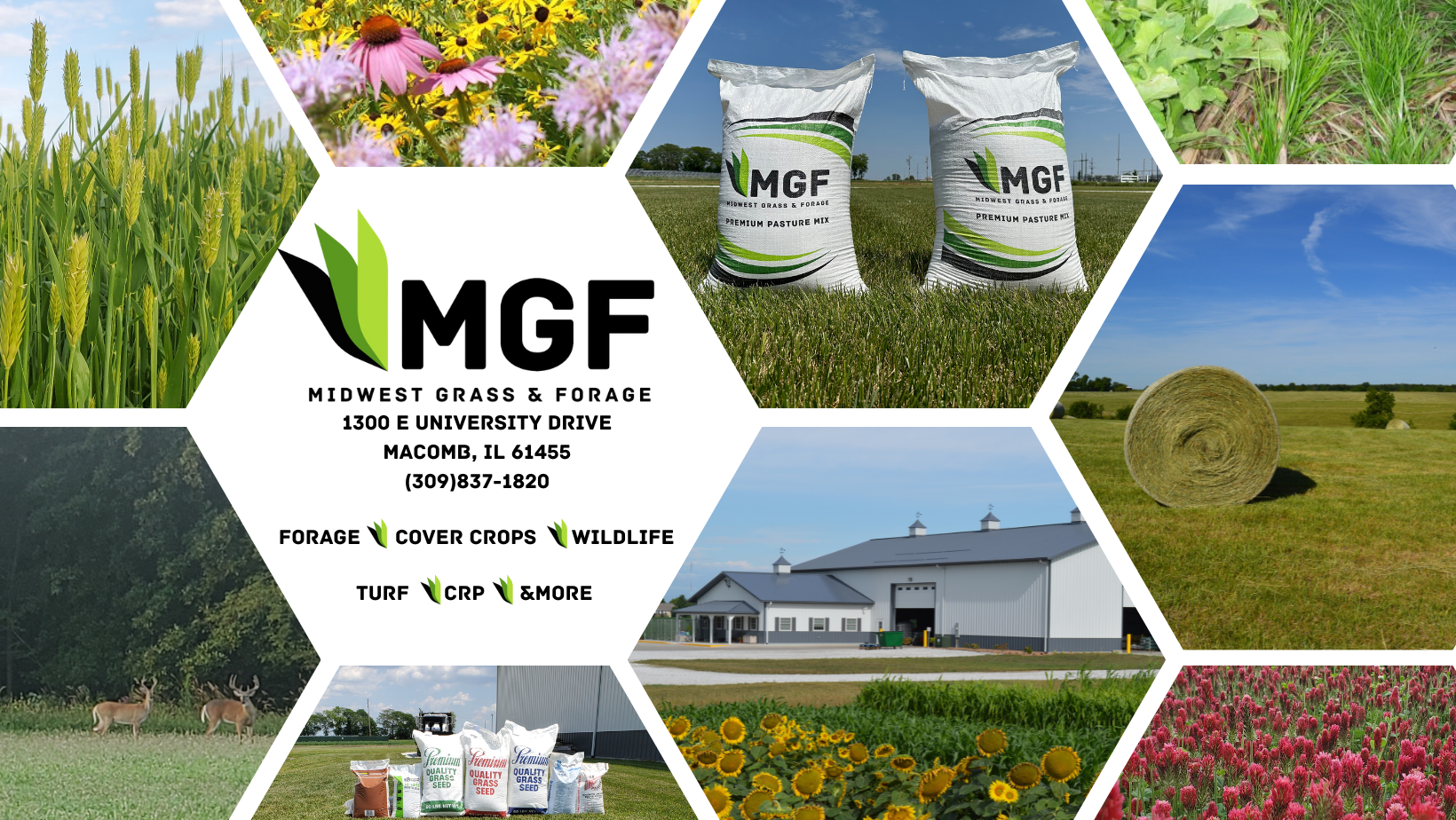 Another strong soybean result to... - Apex Seed Company LLC | Facebook