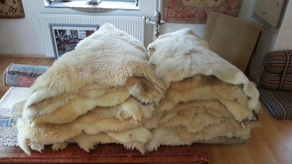 Orient Teppich Galerie Home Facebook