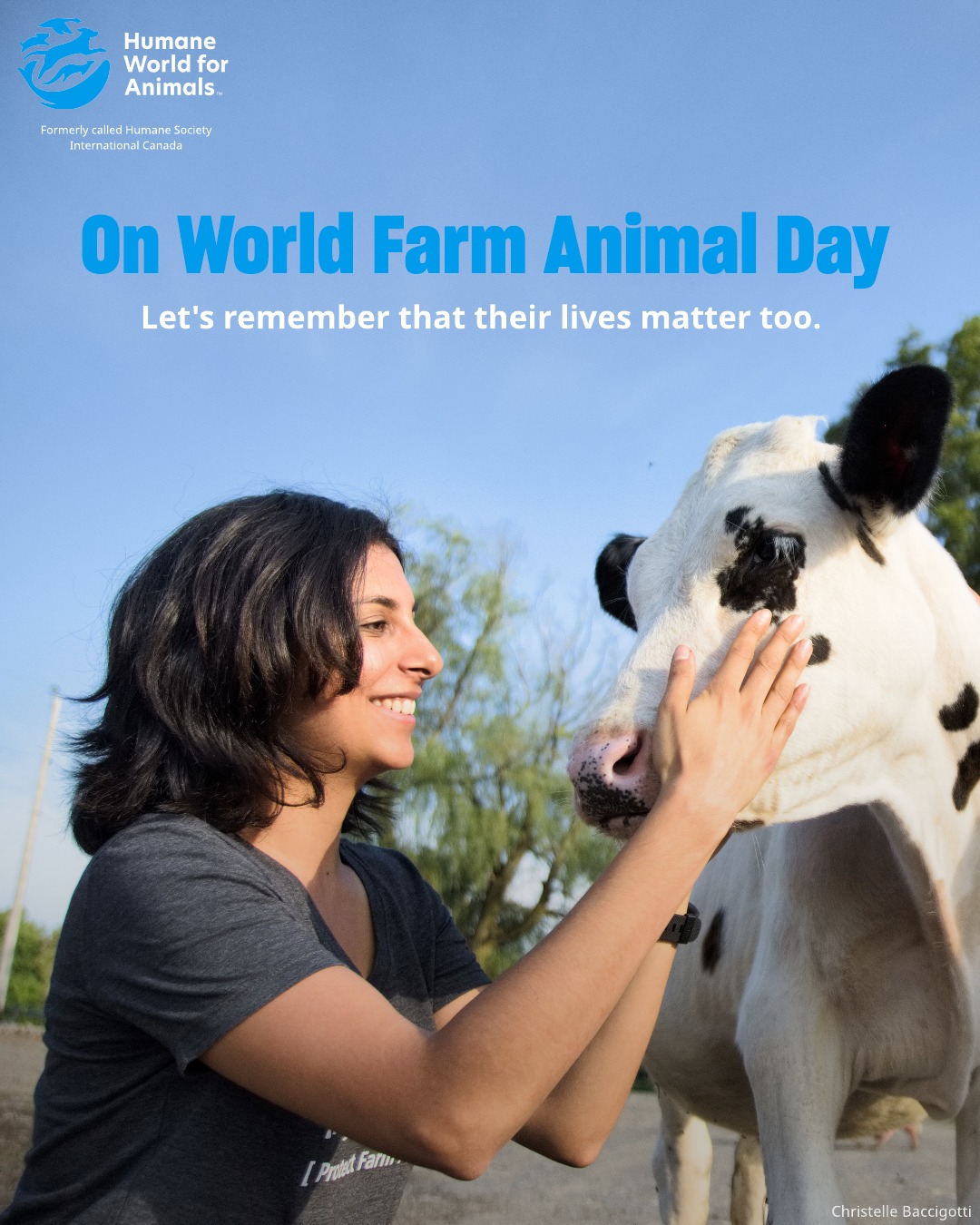Humane World for Animals Canada | Vaudreuil-Dorion QC