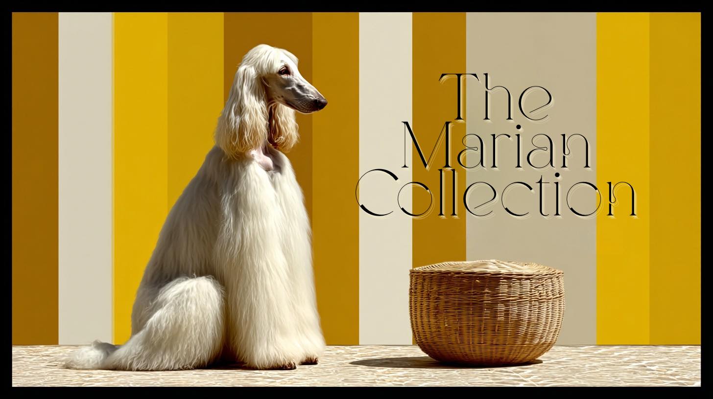 The Marian Collection