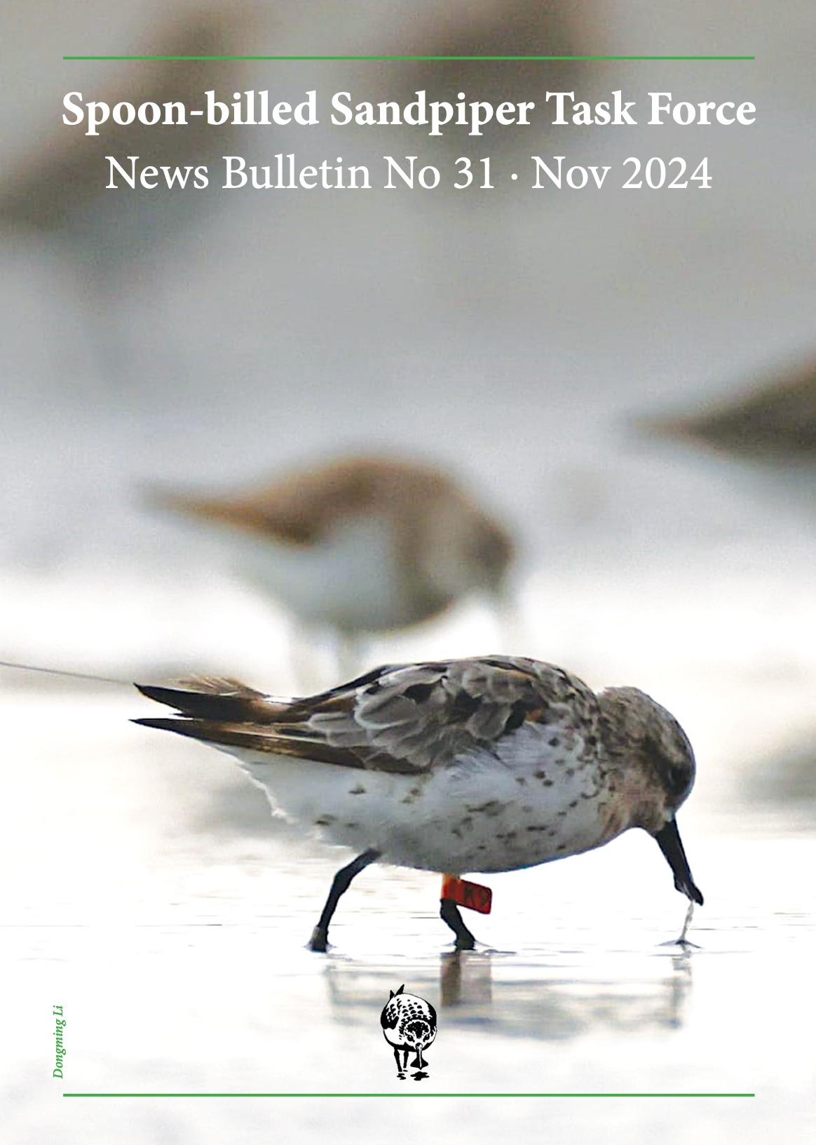 Spoon-billed Sandpiper Task Force