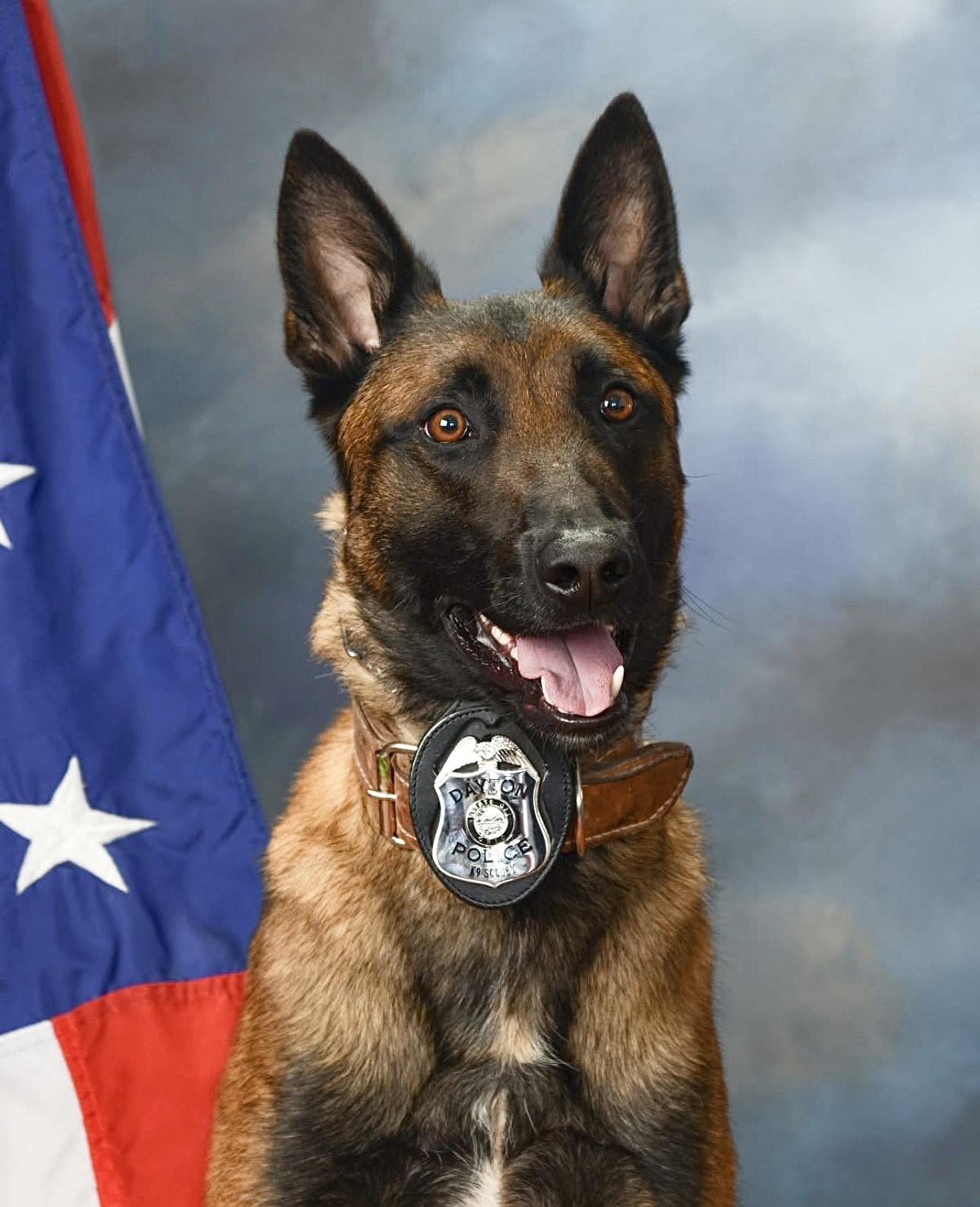 K-9 - Please keep the Dayton Police Department, Ohio, K-9 Scooby and ...