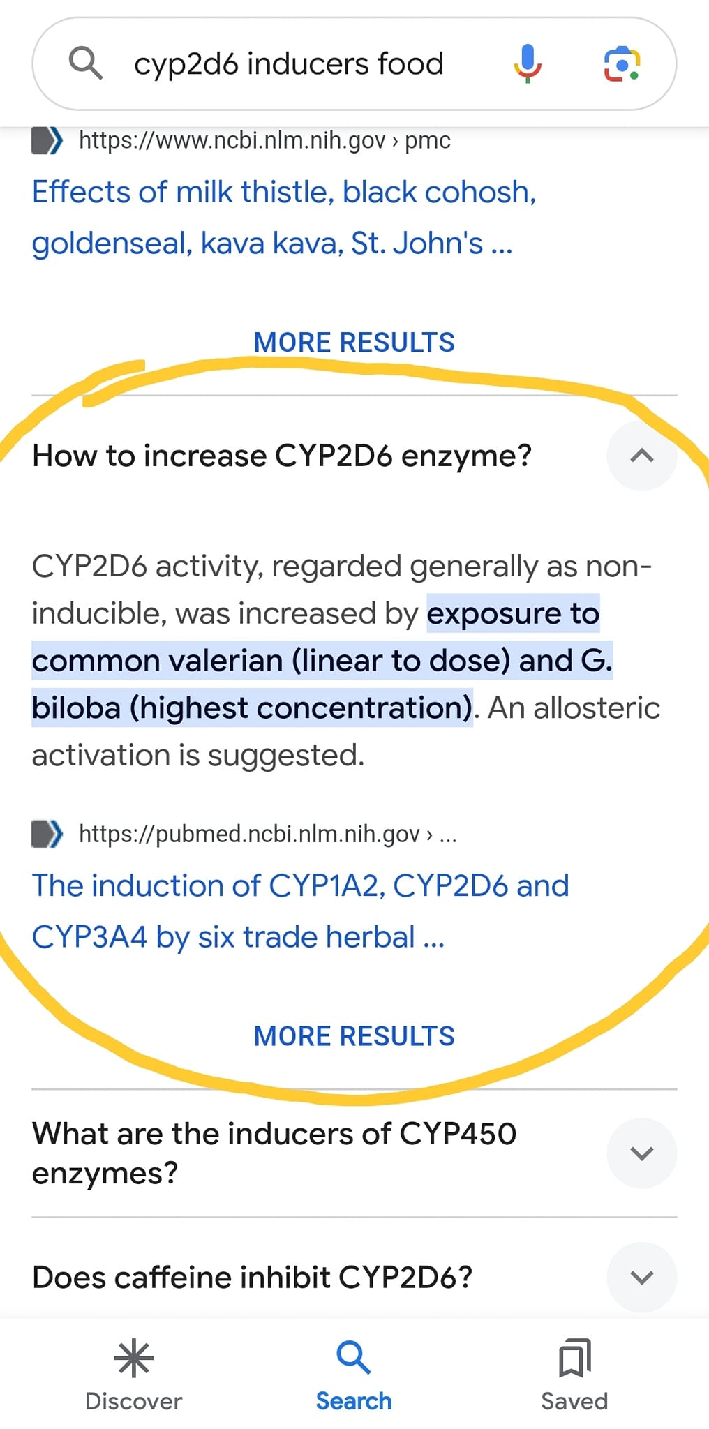 CYP2D6 enzyme role in detox and drug metabolism