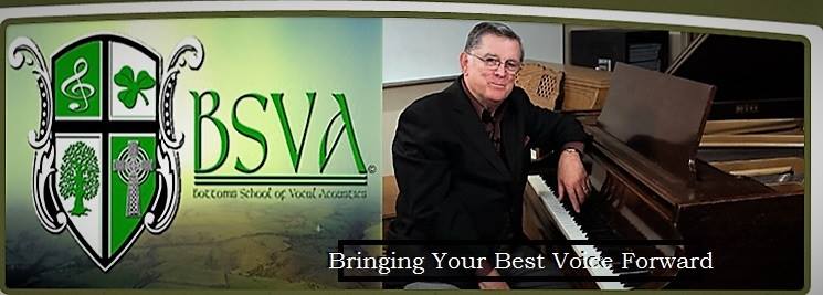 BSVA