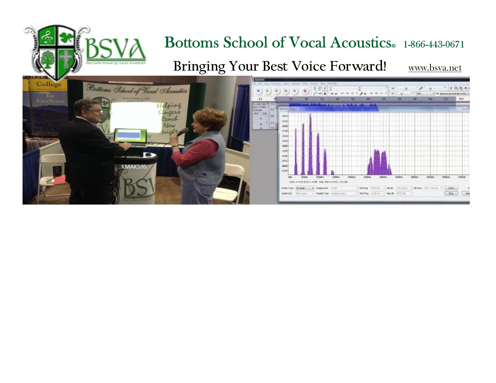 BSVA