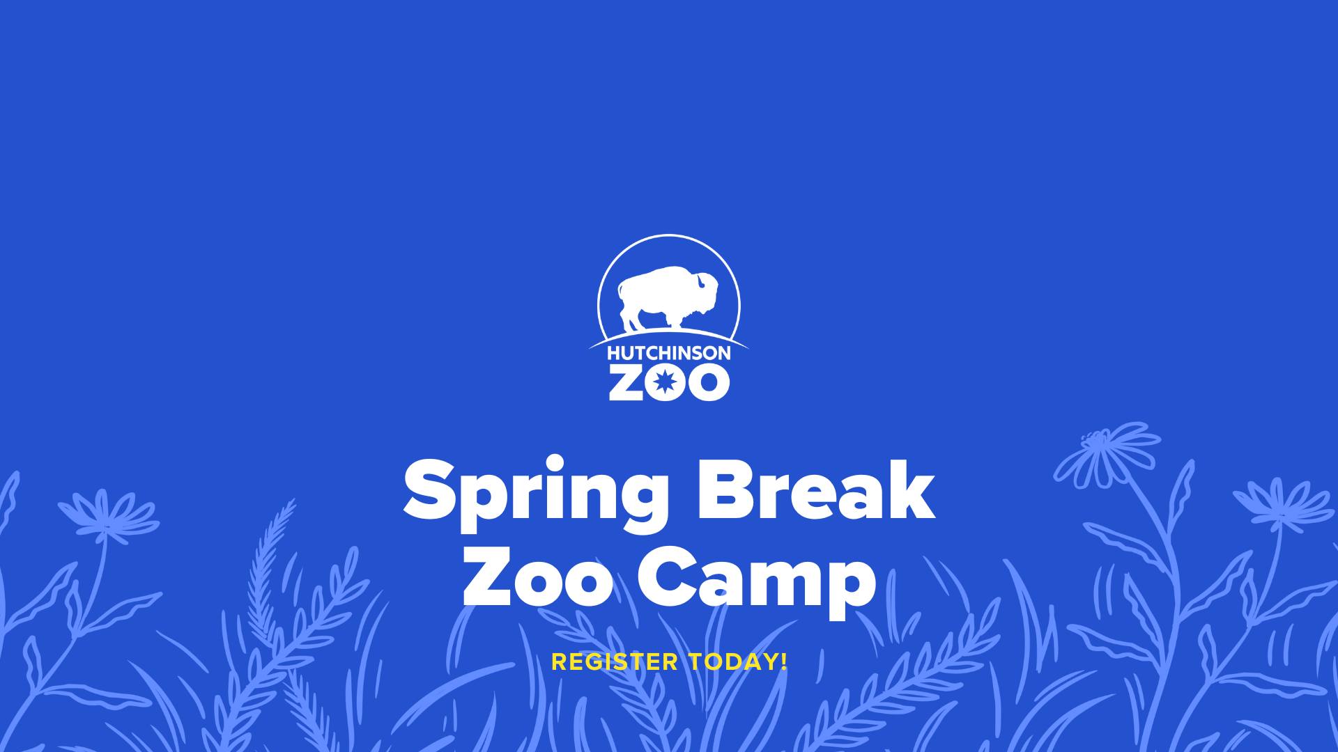 Spring Break Zoo Camp