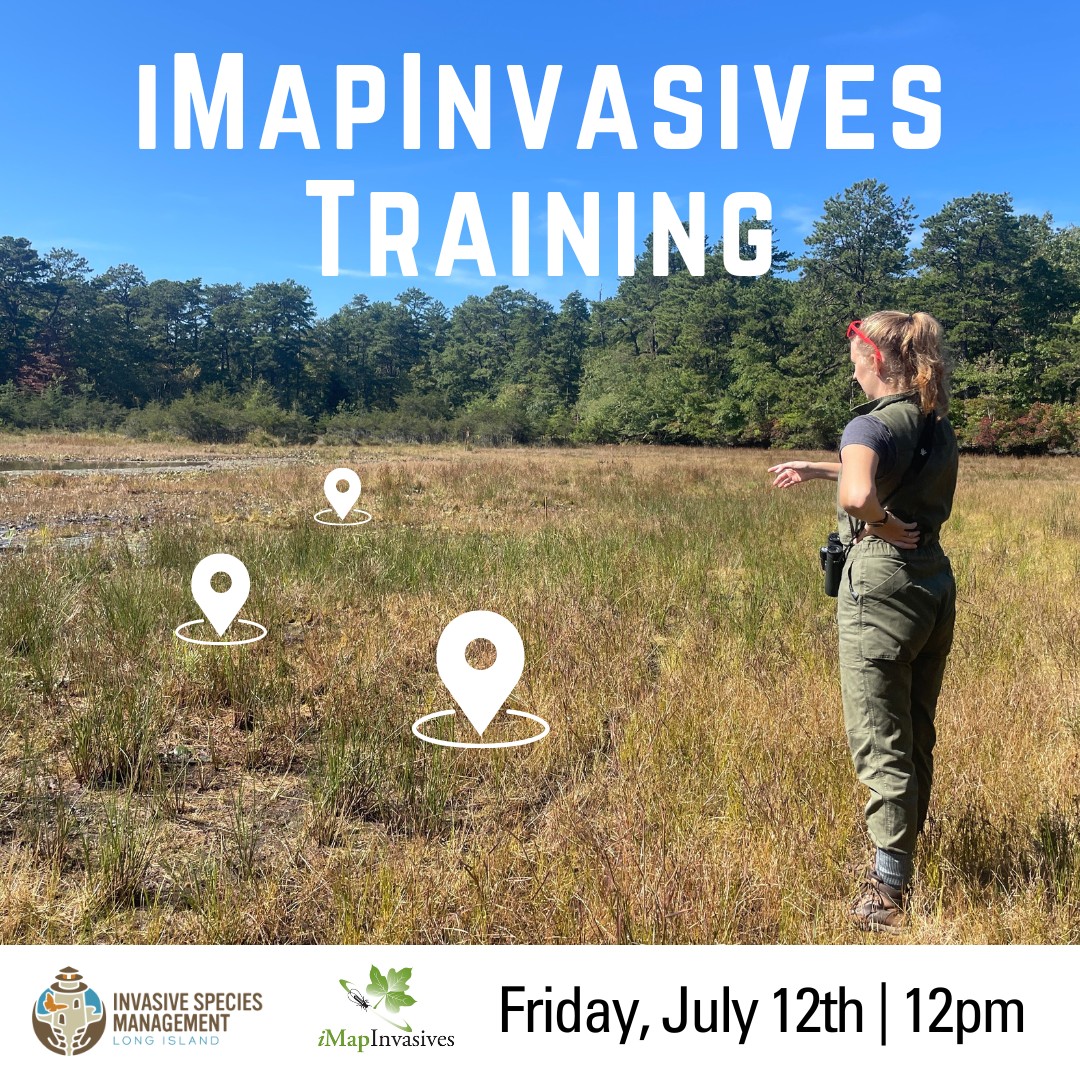 Long - Are you a keen spotter of invasive species and want to put your ...