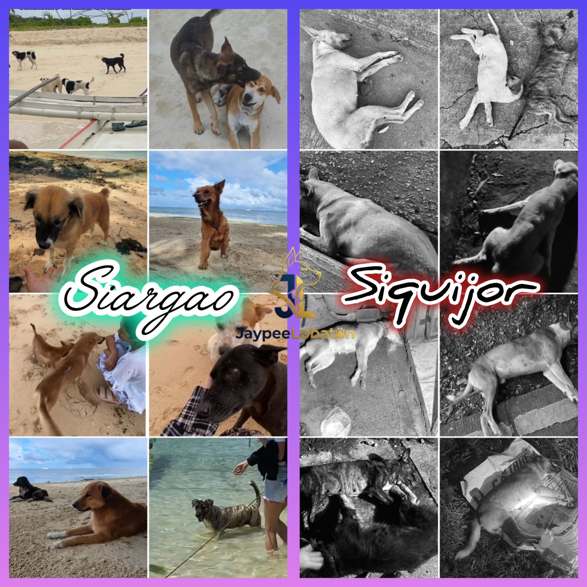 Jaypee - SAME PARADISE, VERY DIFFERENT VALUES In Siargao, friendly ...