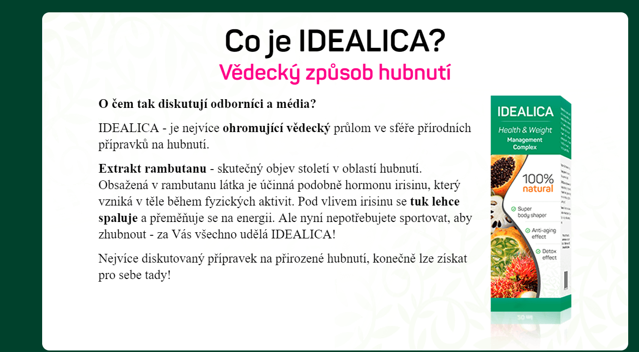 Co je to Idealica?