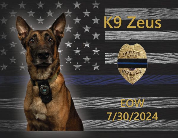 Apex Police K-9 Zeus passes away after honorable service