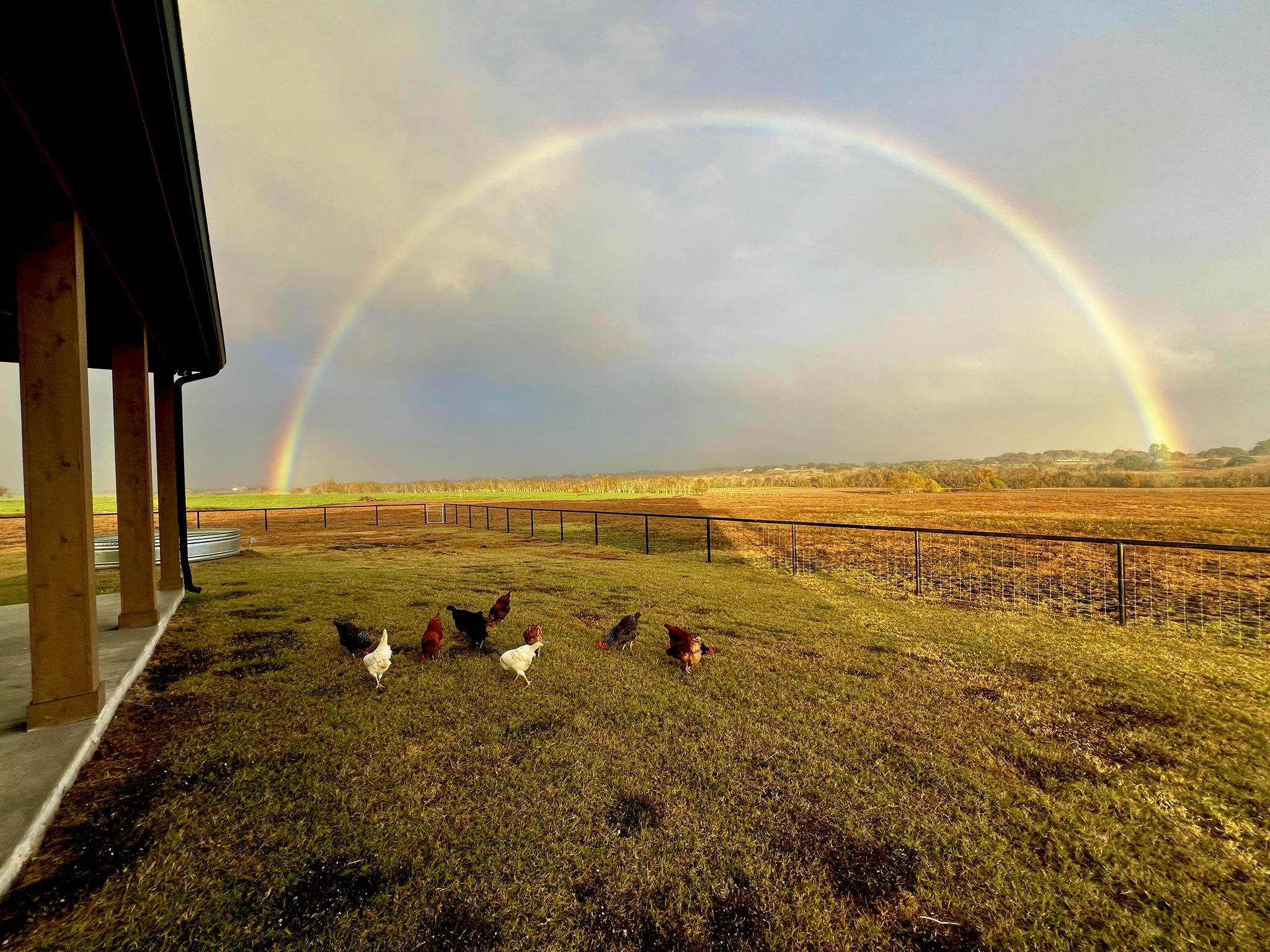 Flying S Ranch | Independence TX