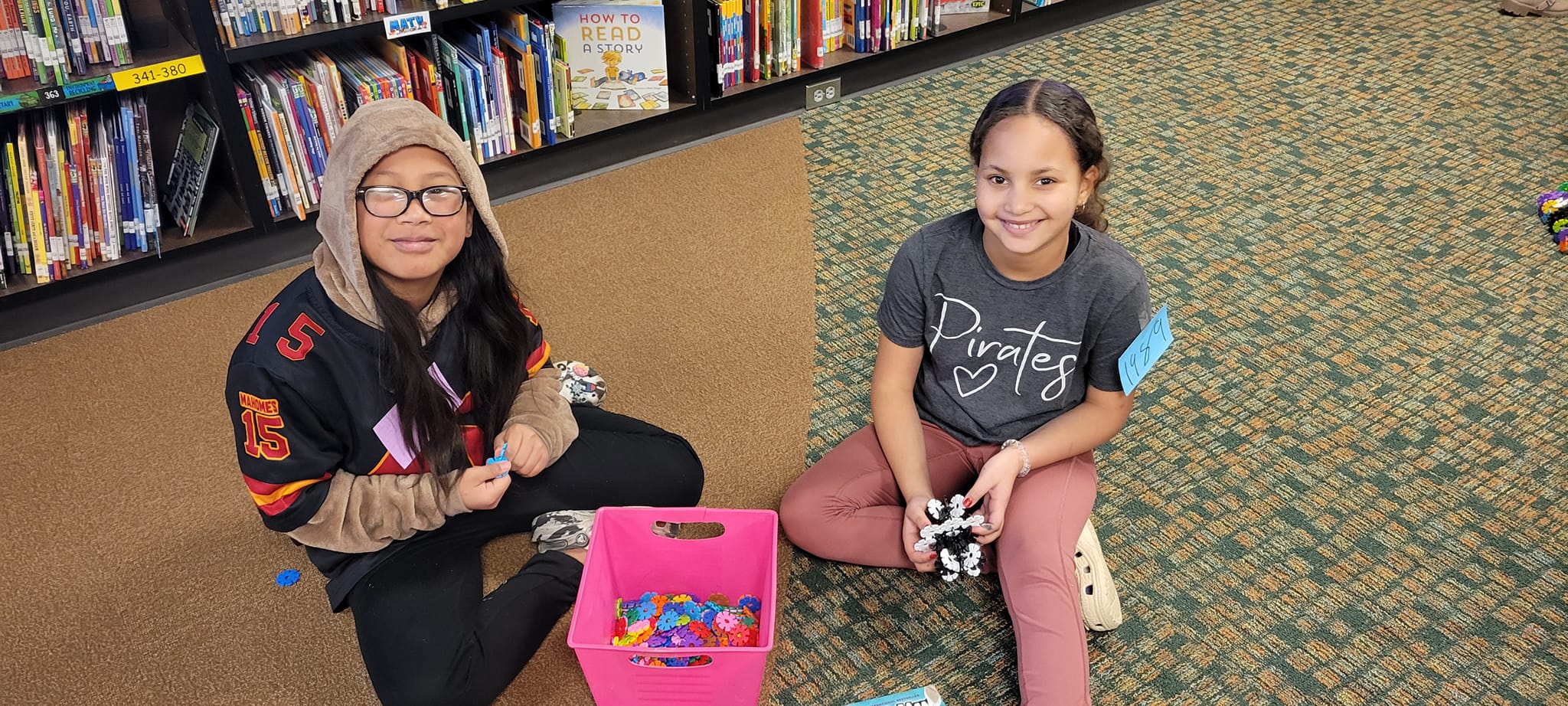 Pathfinder Elementary Library