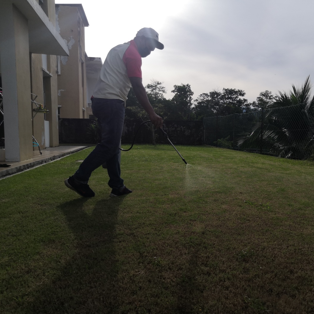 TheLawn Care - Semburan halus untuk racun rumpai. Kekerapa...