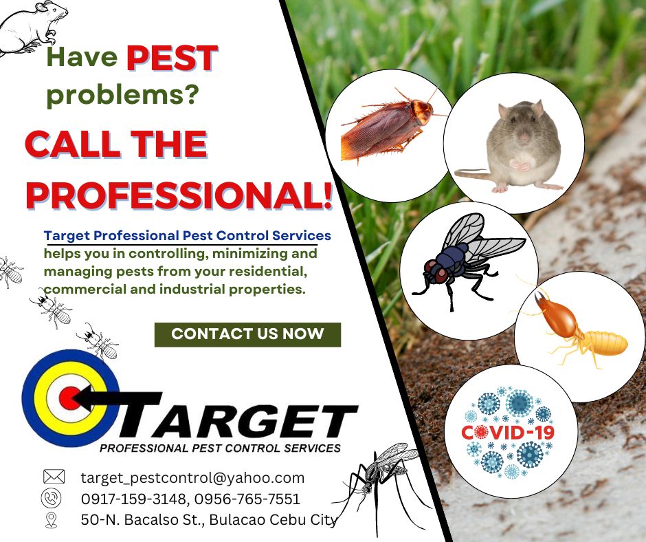 Target Professional Pest Control & Disinfection Services