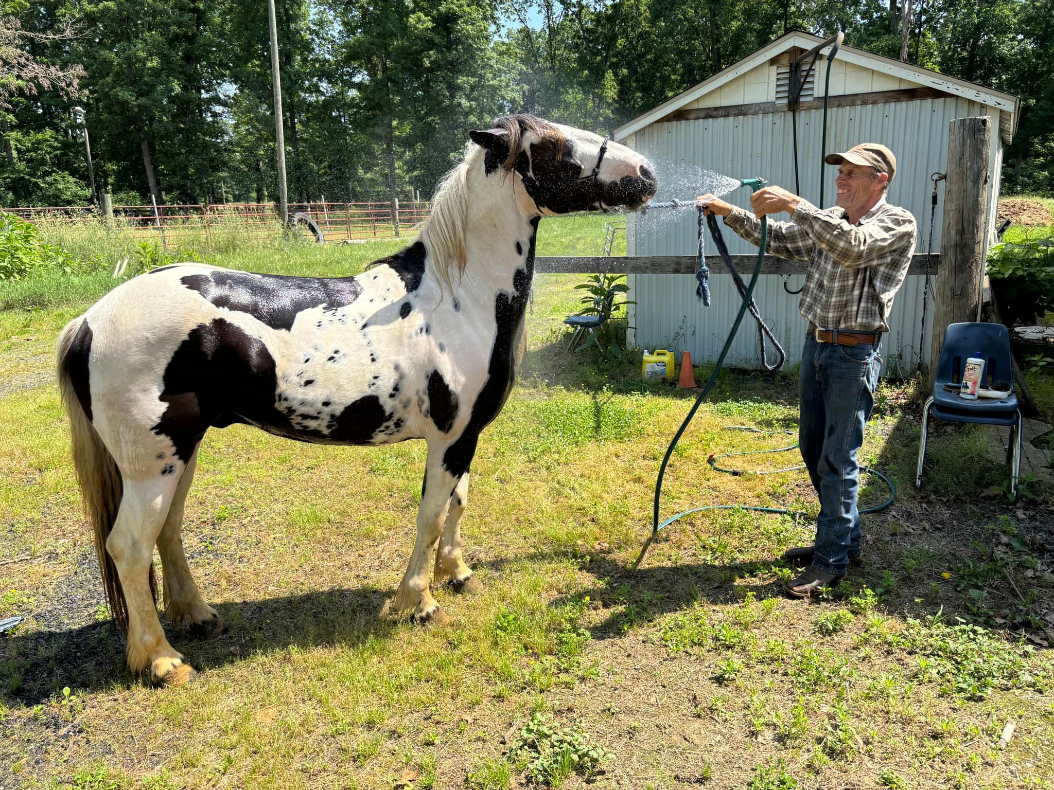 Triple R Stables | Midland VA