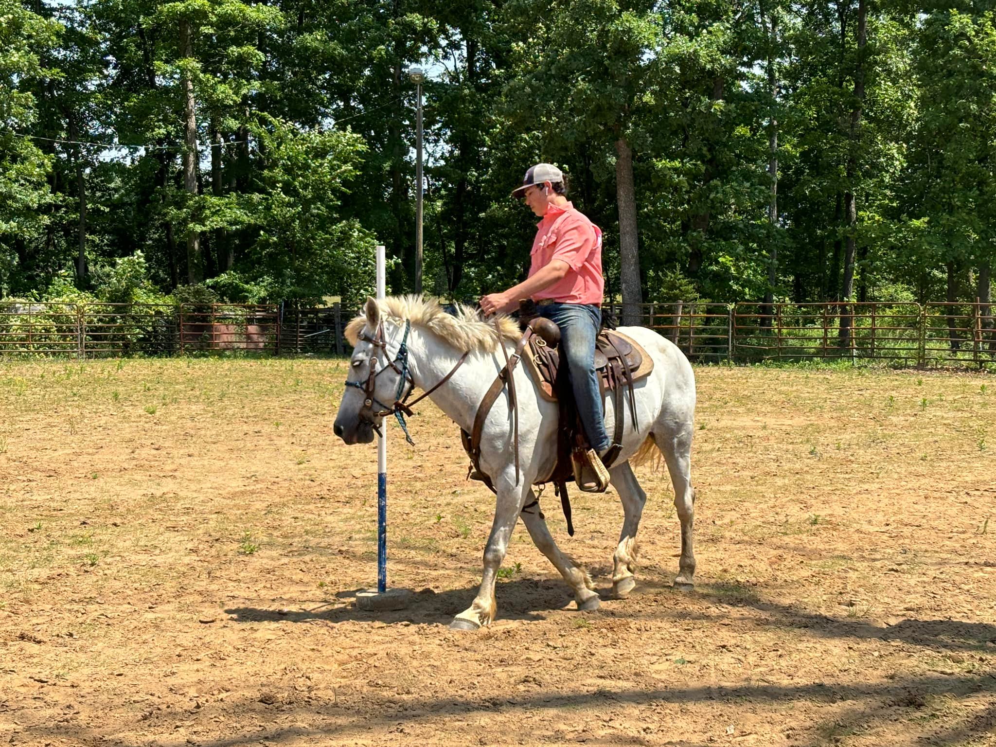 Triple R Stables | Midland VA