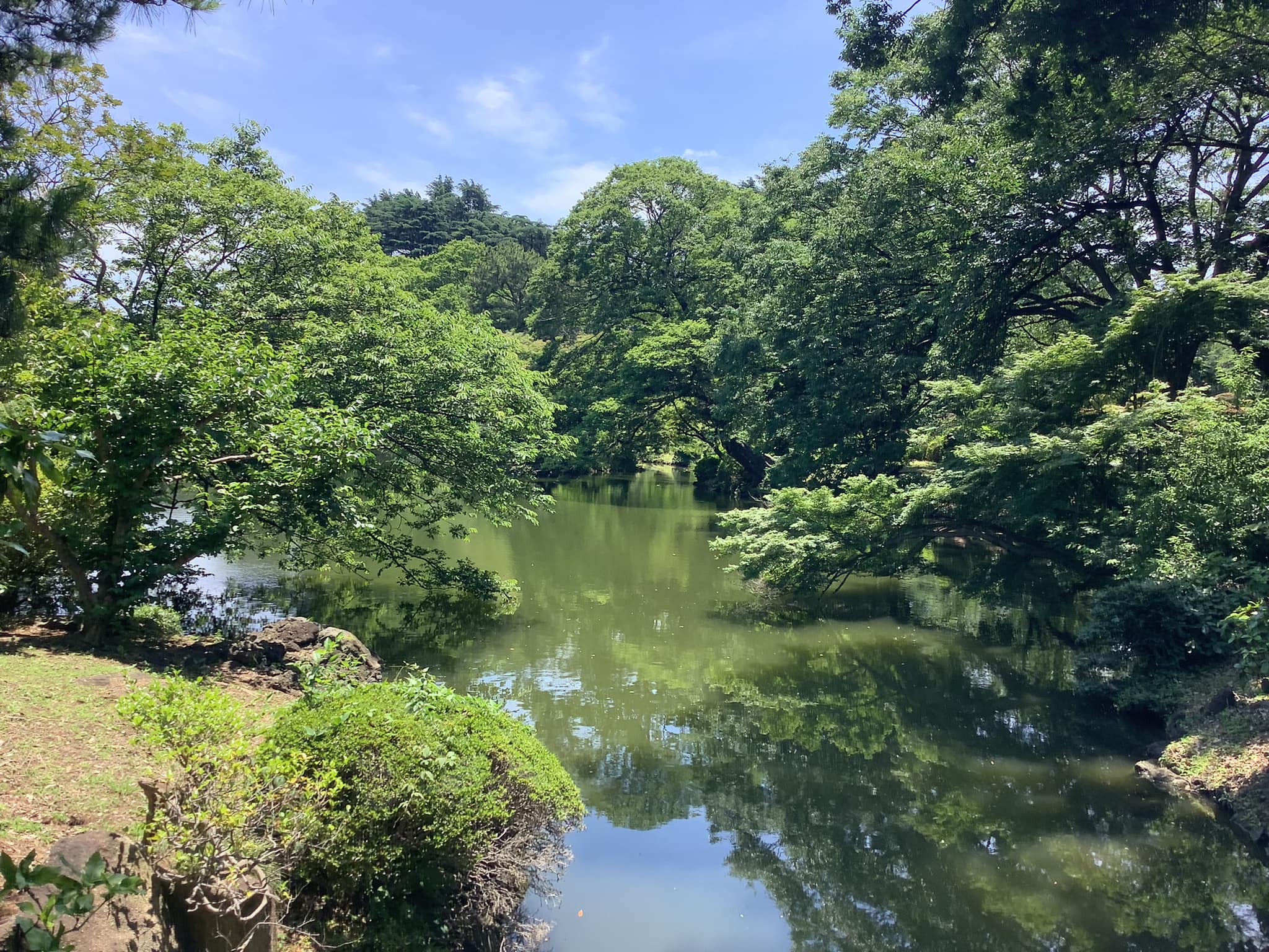 108,黄葉(こうよう、/leaves turn yellow The leaves of trees turn 