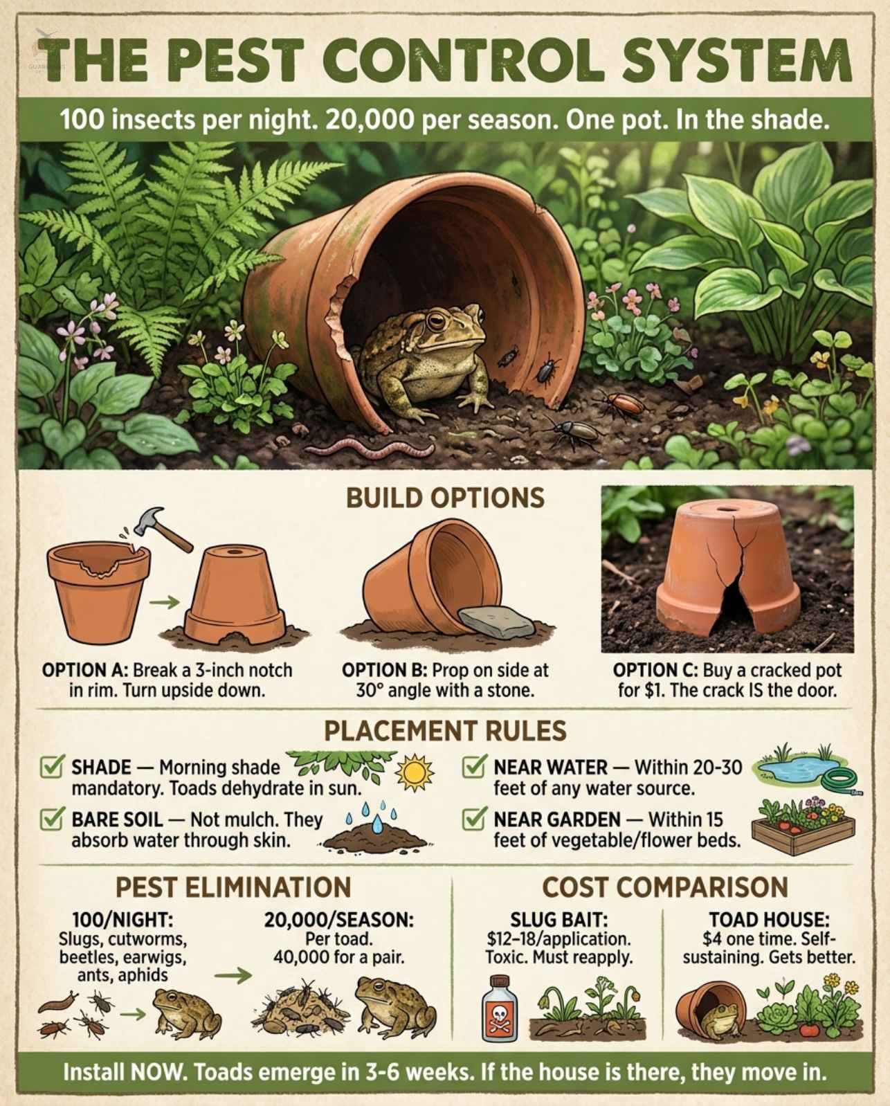 Guardians - The most effective pest control in gardening costs $4 and ...