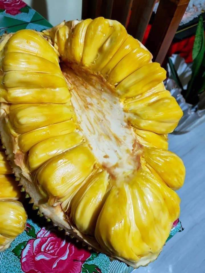 The sweetest... - Aljam Integrated Farms Philippines