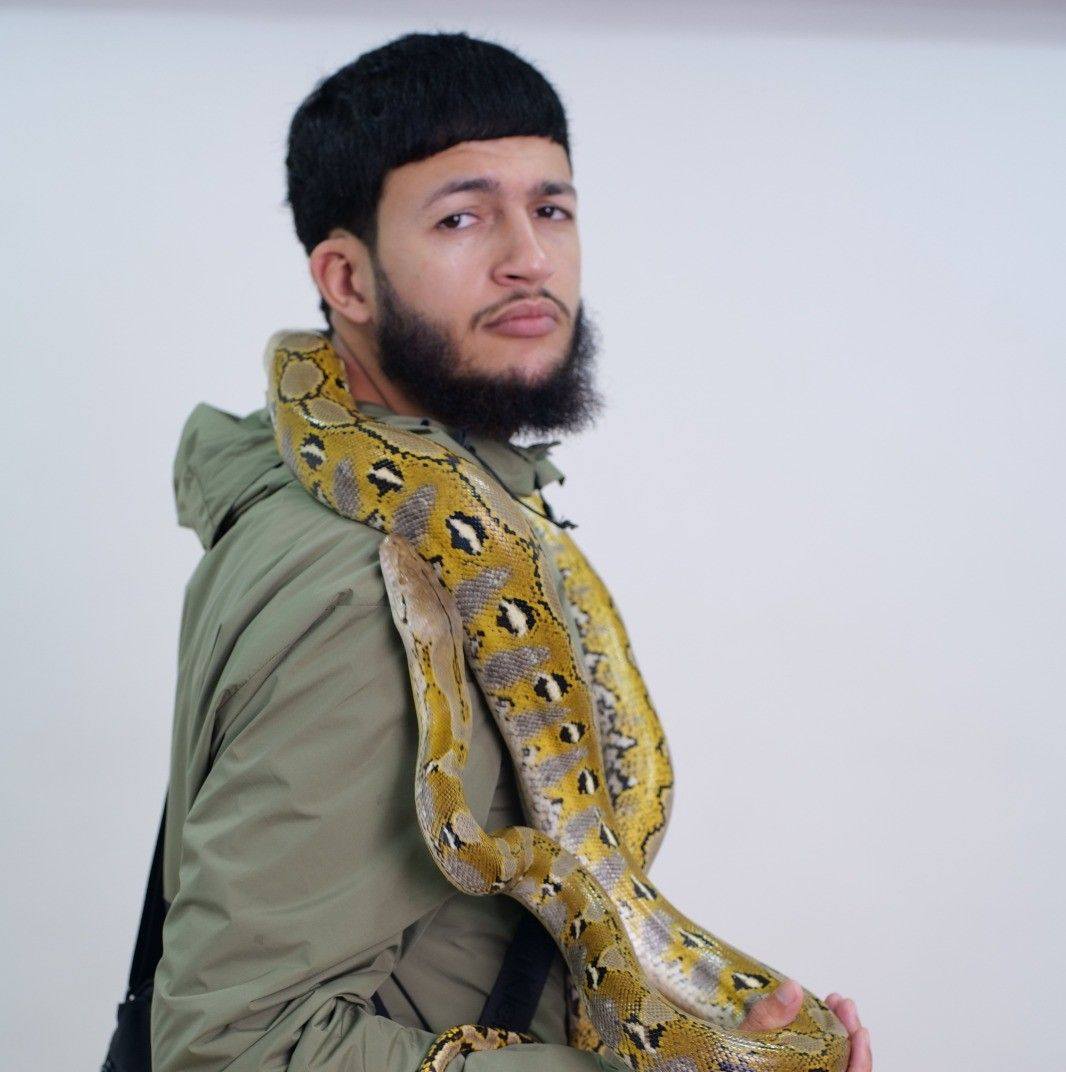 تم تصوير هاته اللقطة الجميلة في أحد الحدائق خارج الجزائر بدون سابق ...