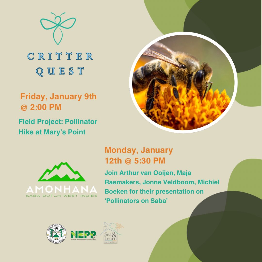 Sea - Critter Quest is back—and bigger than ever in 2026! 🐝 We’re ...
