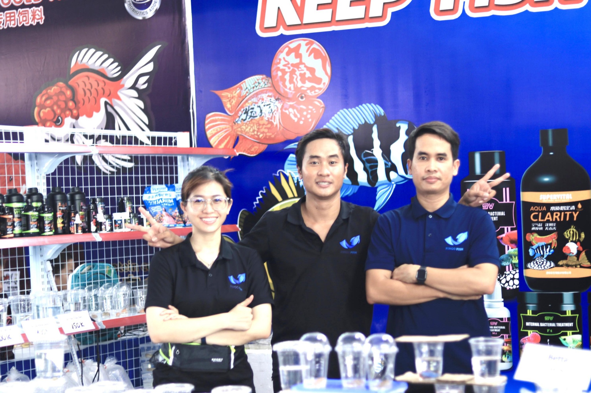PINGO FISH Cambodia