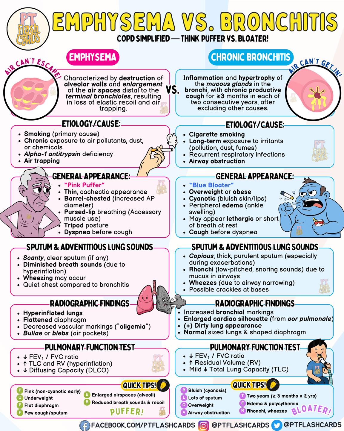 PT Flashcards - 🫁 EMphysema vs. CHronic Bronchitis — Two... | Facebook