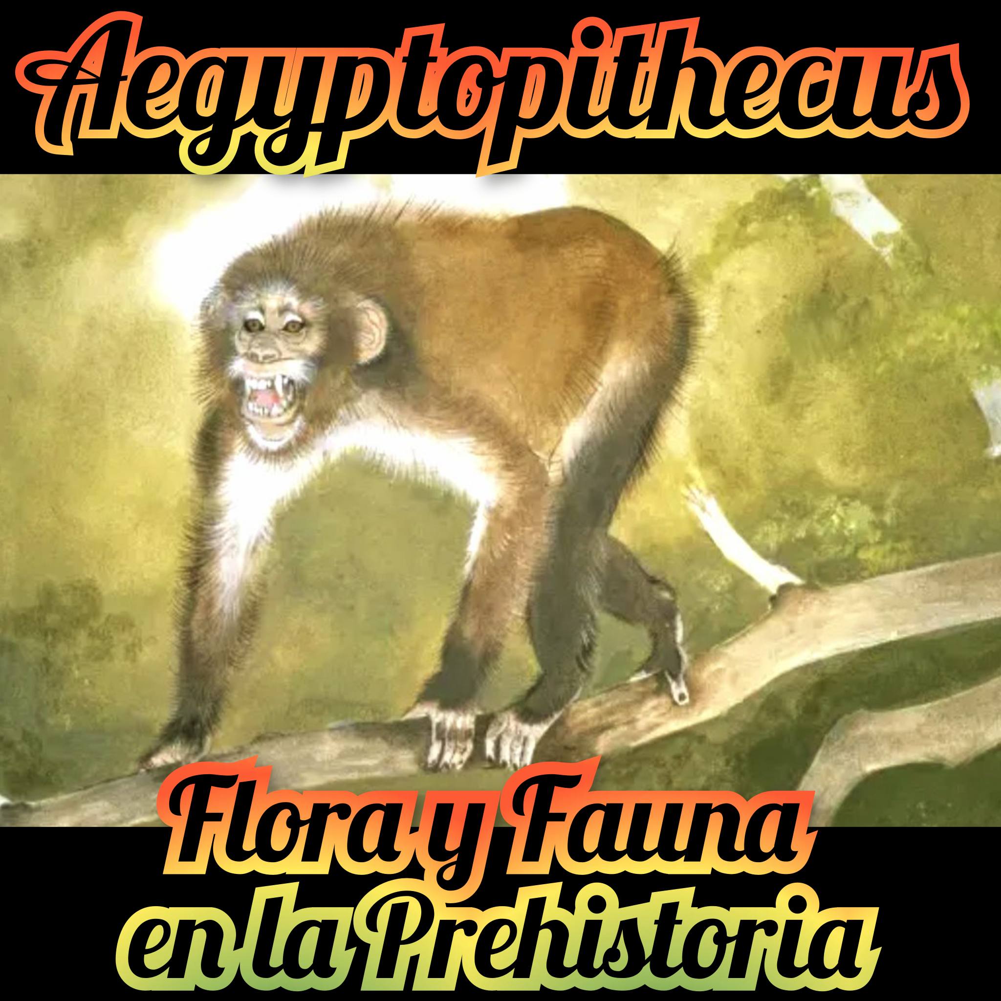 Aegyptopithecus (Eoceno)... - Flora y Fauna en La Prehistoria | Facebook