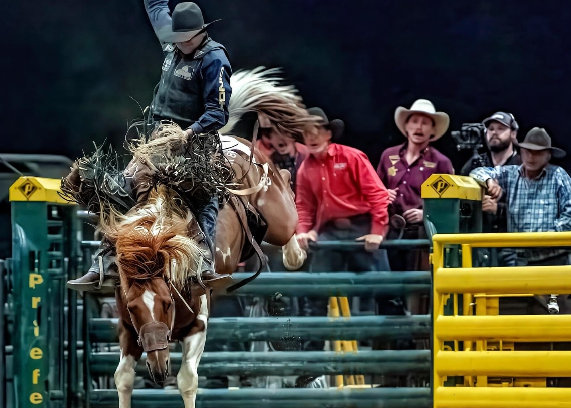 Get ready to the Bunyip Rodeo 2026 Livestream | Facebook