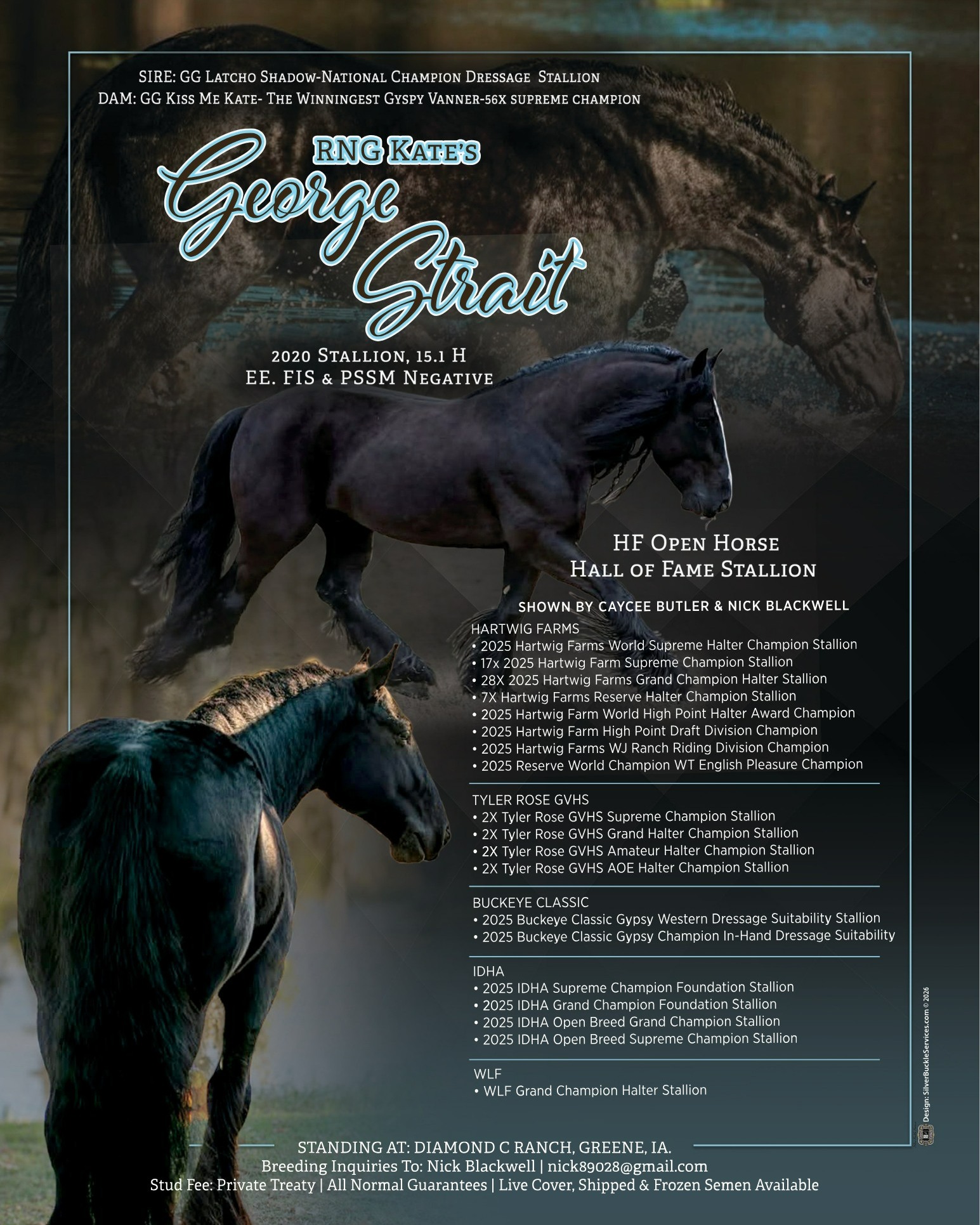 Gquine Magazine - The upcoming January - February 2026... | Facebook
