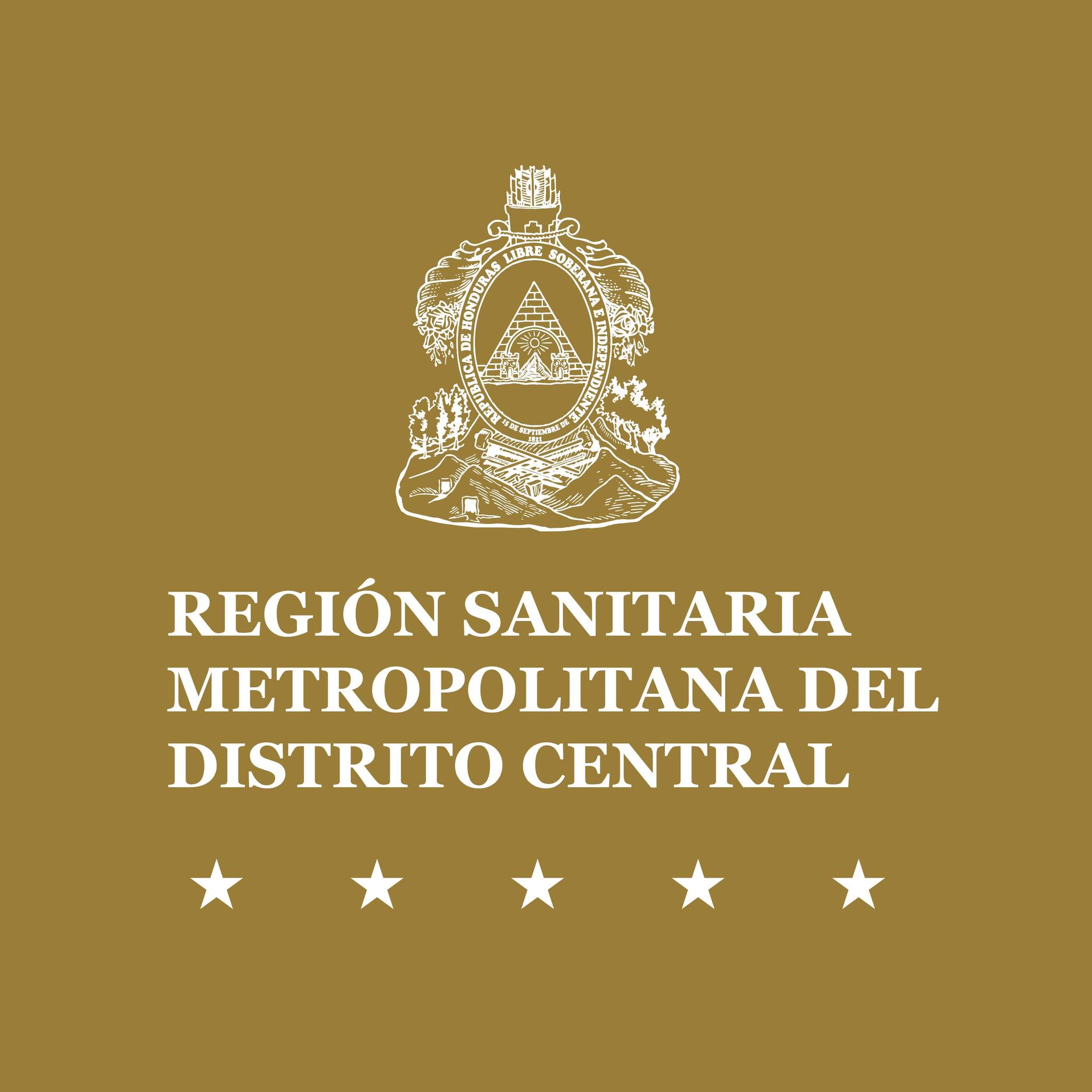 La Región Sanitaria Metropolitana del Distrito Central llevó a cabo el ...